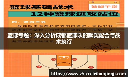 篮球专题:深入分析成都篮球队的默契配合与战术执行